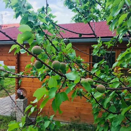 Prázdninový dům U Lišáka Foxe