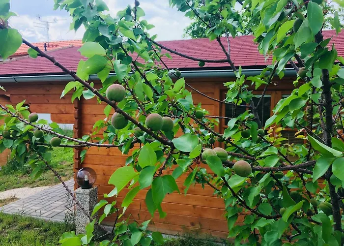 Дом отдыха Ubytovani U Lisaka Foxe